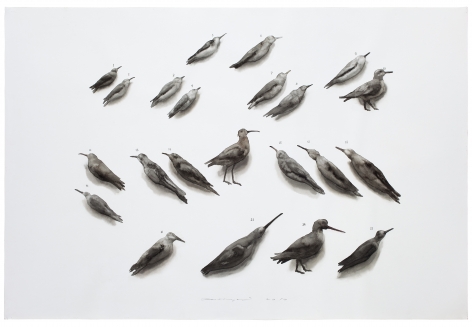 Guo Hongwei 郭鸿蔚&nbsp;(b. 1982), Bird No. 1