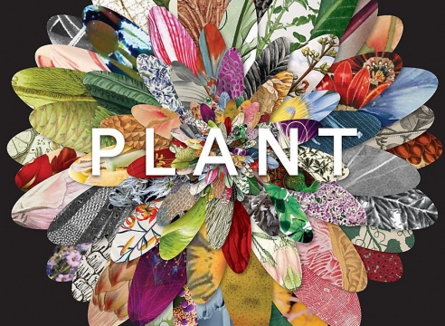 Guo Hongwei: Plant: Exploring the Botanical World